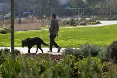 Oleiros pone a la venta 12 parcelas municipales para construir viviendas y logra fondos europeos para importantes proyectos de renovación