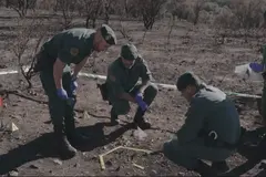 Incendios en España en 2025: el mayor desafío del siglo por olas de calor