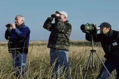 Cáceres acoge la XVI edición del Festival de las Aves para promover el turismo ornitológico