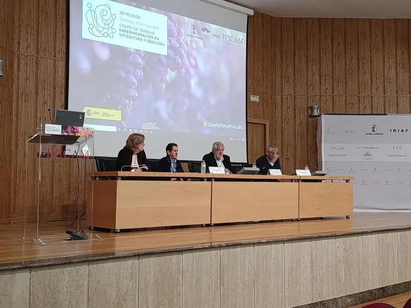 Expertos abordan la adaptación del viñedo al cambio climático en Castilla-La Mancha