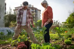 Crecimiento de huertos urbanos en España y su impacto en ciudades sostenibles