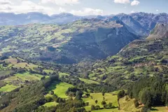 Bizkaia implementa nueva norma foral de montes para mejorar la gestión forestal
