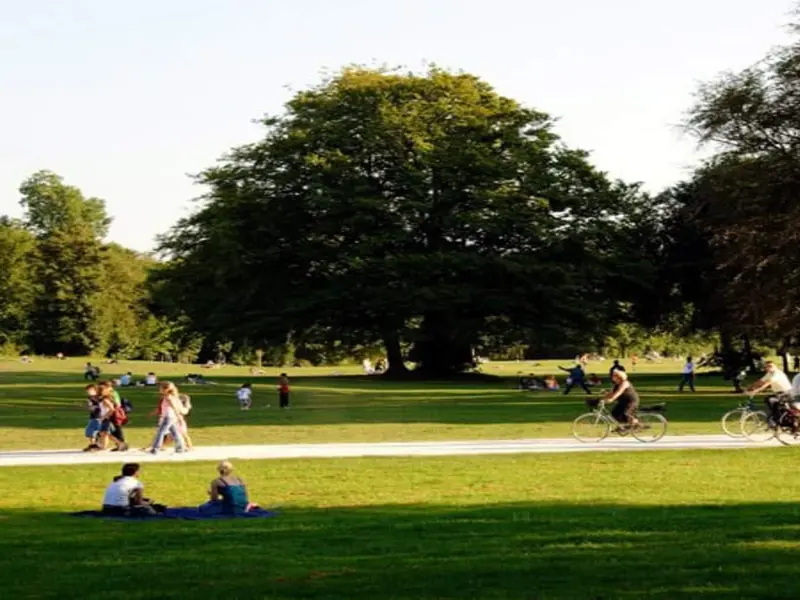 El biomaratón internacional une a miles para explorar la biodiversidad urbana