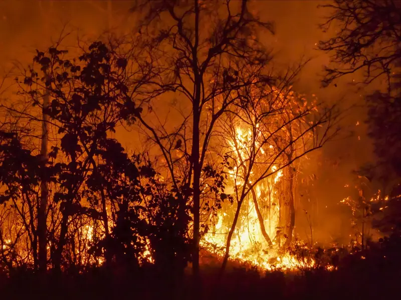 Aemet lanza un nuevo índice para prevenir incendios forestales en España