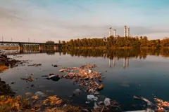Descubrimiento de ARN en bacteria podría revolucionar la descontaminación ambiental