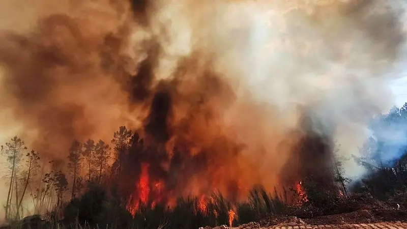 Incendios forestales: retos y aprendizajes para la próxima temporada