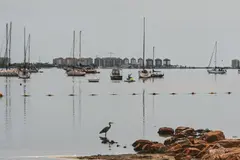 El MITECO y universidades impulsan la evaluación de la recuperación del Mar Menor