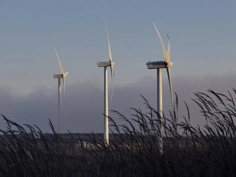 El BCE resalta la importancia de la transición energética de España hacia energías renovables