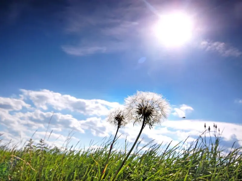 Subida de temperaturas y vientos fuertes marcan el tiempo en España hoy 14 de abril