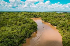 La Amazonía peruana implementa alerta contra la deforestación con apoyo indígena