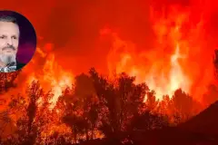 Miguel Bosé critica a ecologistas y energías renovables por incendios en España