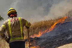 El ozono de incendios forestales podría causar 2.000 muertes anuales en EE. UU.