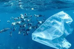 La contaminación plástica en océanos podría triplicarse antes de 2060