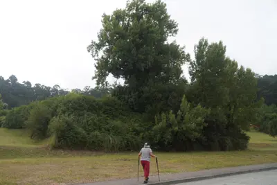 Oleiros inicia la expropiación de parcelas para completar el parque de Canide