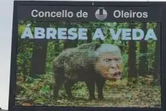 Oleiros relanza su polémica campaña comparando a Trump con un jabalí