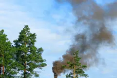 Galicia lanza app para alertar incendios y mejorar la respuesta inmediata
