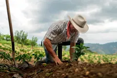 Día Mundial de la Lucha Campesina 2026: Soberanía alimentaria y agroecología urgentes