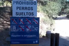 Multas de hasta 200.000 euros por soltar perros en espacios naturales protegidos