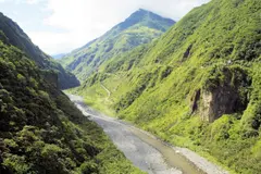 Descubren nueva especie de puercoespín en Ecuador tras 15 años de investigación