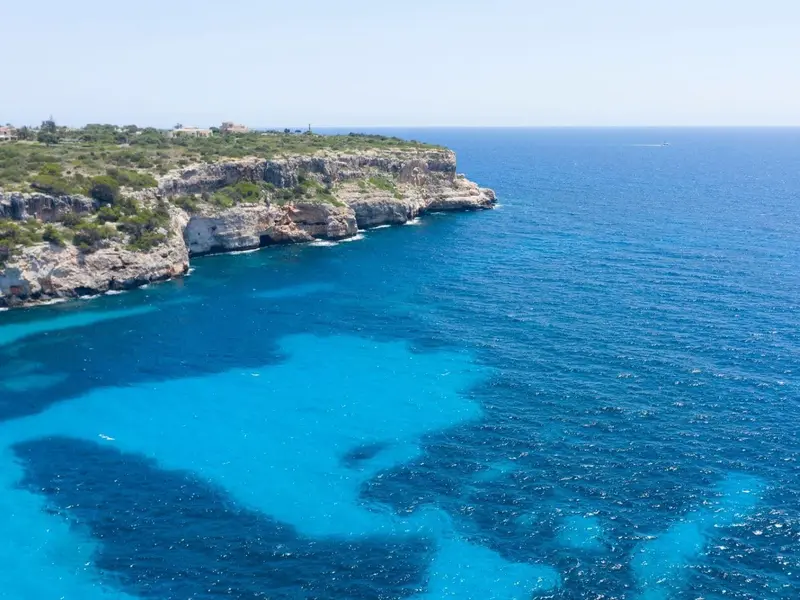 Baleares inicia vigilancia de posidonia con 20 barcos para proteger el Mediterráneo