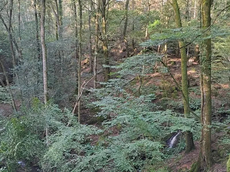 Avanza el derribo parcial de la presa de Enobieta para restaurar ecosistemas fluviales