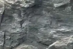 Una cría de tiburón sorprende a bañistas en la cala de Mera