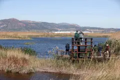 El proyecto LIFE Wetlands4Climate, galardonado en los premios LIFE Award 2026
