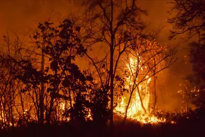 Aemet lanza un nuevo índice para prevenir incendios forestales en España
