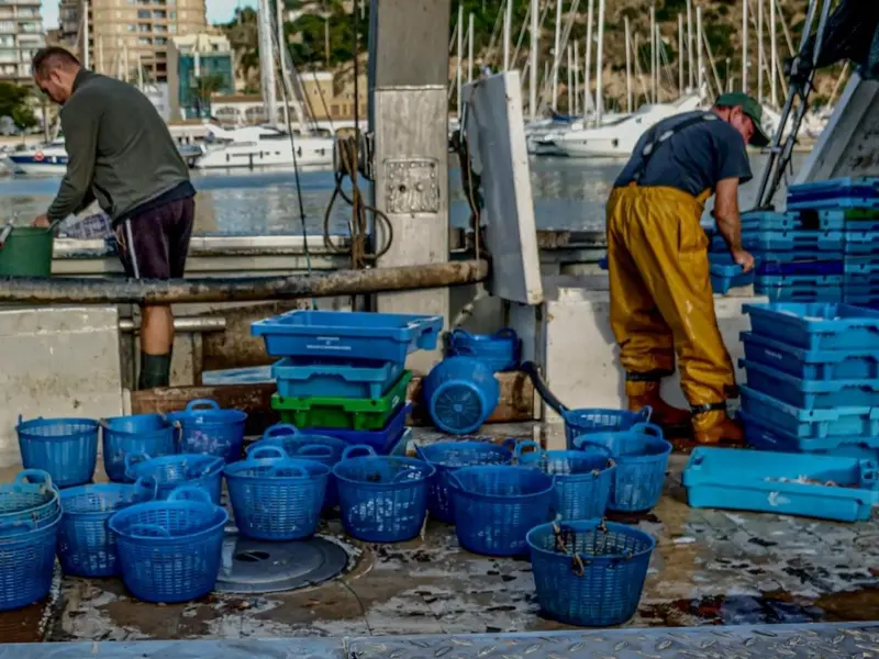 La pesca en España enfrenta graves amenazas por el cambio climático y la contaminación