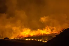 Incendios forestales devastan 100.000 hectáreas en Siberia por altas temperaturas