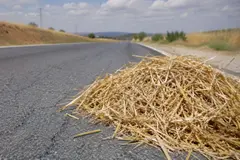 Hervás lidera la economía circular con la biorrefinería SUSTAINEXT para transformar residuos agrícolas