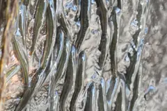 Descubren pez en África capaz de escalar cascadas de 10 metros