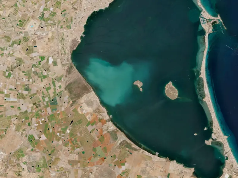 La ‘mancha blanca’ del Mar Menor impacta negativamente en su flora y fauna