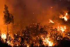 La UE destina 120,5 millones a España para recuperación tras incendios forestales de 2025