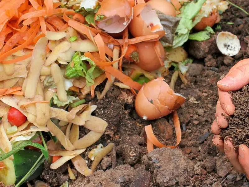 Casa cero residuos en California: una estrategia innovadora para reducir la basura