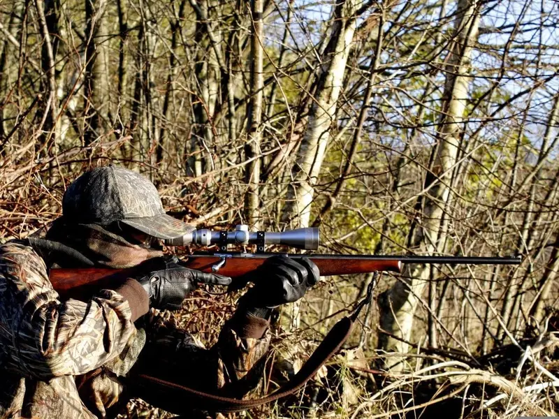 Denuncian graves irregularidades en coto de caza de Viérnoles que comprometen la biodiversidad