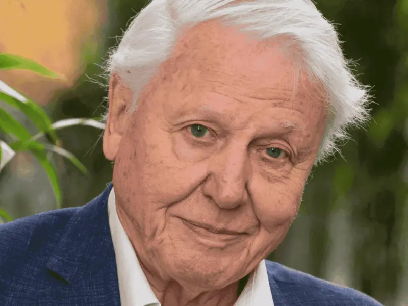 David Attenborough: un siglo de legado en la divulgación ambiental