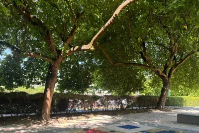 Renovación del Rincón de Cecilia en el Parque José Martí de Oleiros