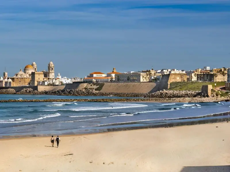 Cádiz recibe ayudas récord por alga invasora Rugulopteryx okamurae