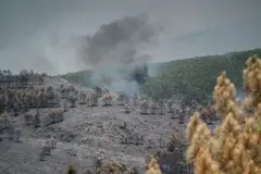 Reconocimiento del cambio climático en el incendio de Los Gallardos y el conflicto entre PP y Vox en Andalucía