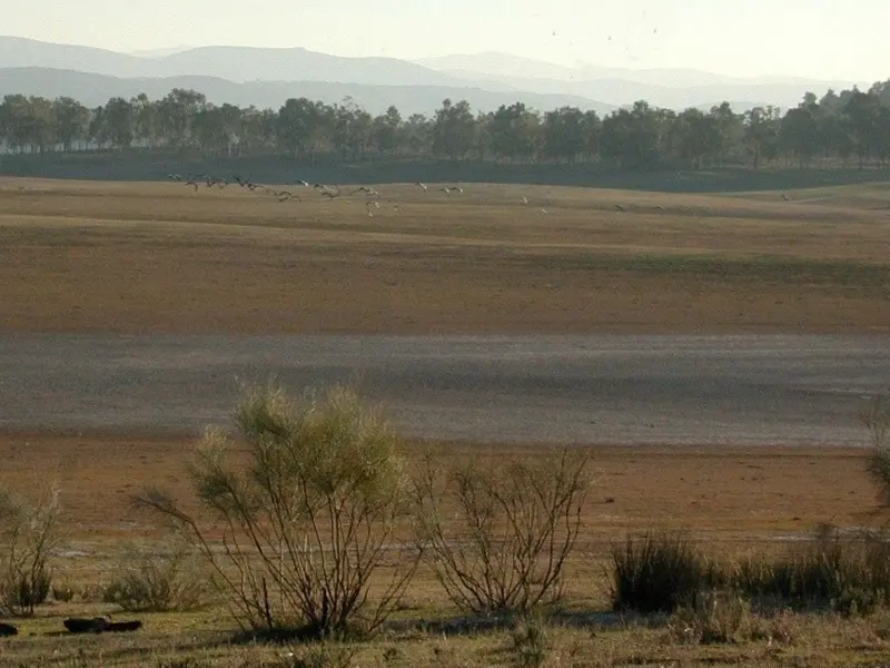 Desclasificación de 7.500 hectáreas en la Red Natura 2000 de Extremadura genera controversia
