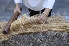 Iniciativa en Galicia busca recuperar la tradición del lino y su cultivo sostenible