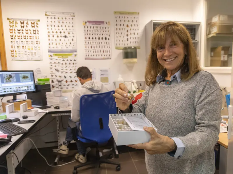 Investigadora advierte sobre la crisis de los polinizadores y su impacto en cultivos