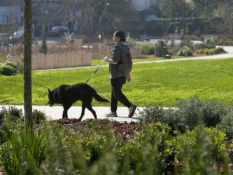 Oleiros pone a la venta 12 parcelas municipales para construir viviendas y logra fondos europeos para importantes proyectos de renovación