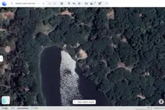 Mueren cientos de peces en un lago de Nueva Delhi por calor extremo y contaminación