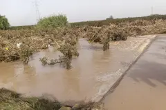 Agricultores critican a MITECO por incluir fincas en suelo público sin compensación tras inundaciones