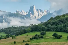 Asturias duplica las ayudas para conservar la biodiversidad en espacios protegidos