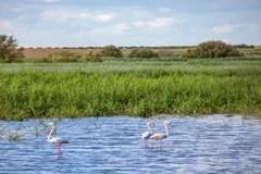 Castilla-La Mancha destina 690.000 euros a la mejora de humedales en Ciudad Real