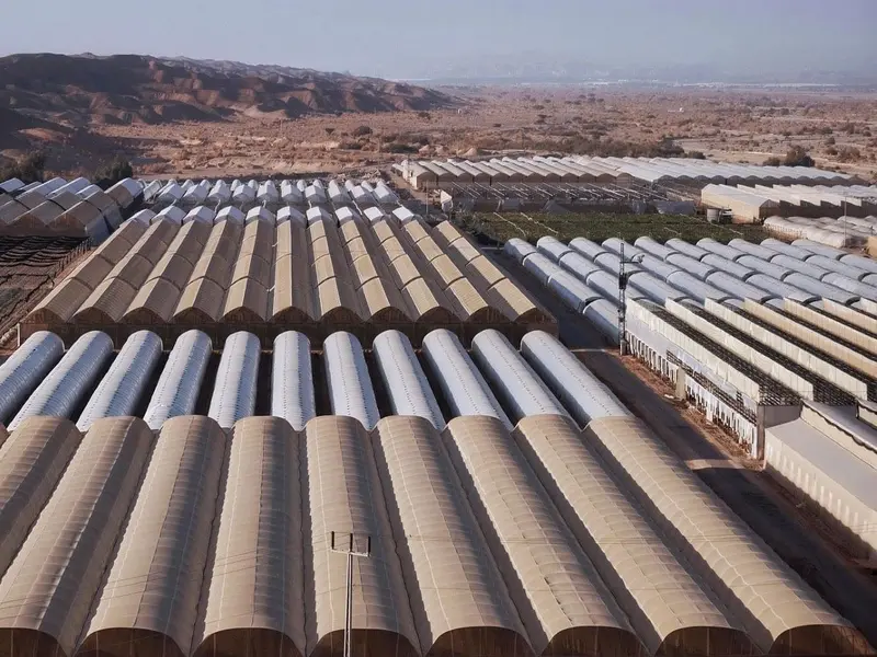 El proyecto NutriLoop valida el uso de agua regenerada en la agricultura