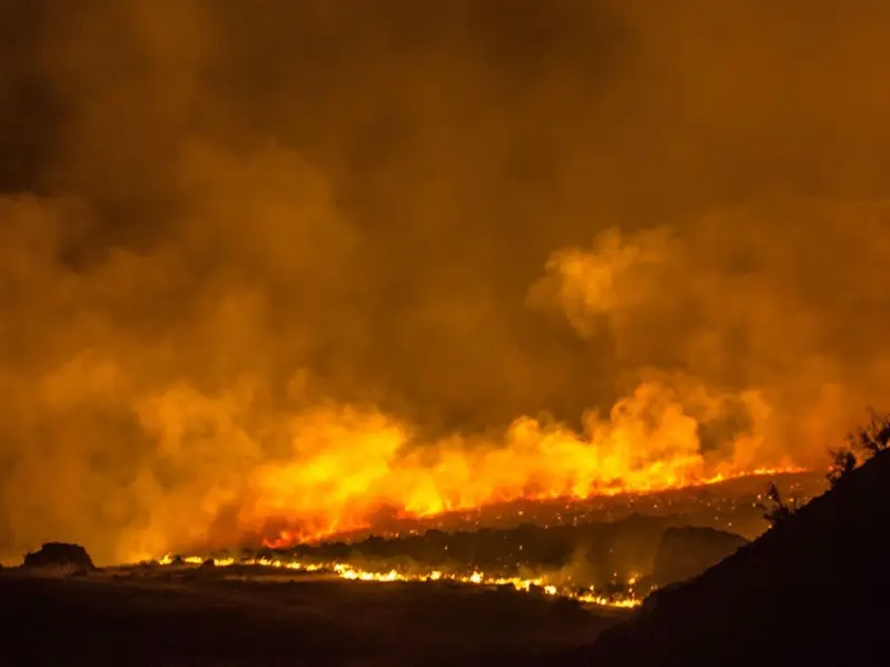 Incendios forestales devastan 100.000 hectáreas en Siberia por altas temperaturas